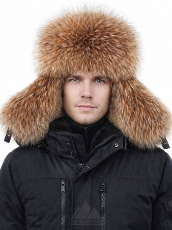 ������ �����