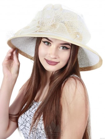 Шляпа Хиллари Шляпа Хиллари